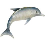 Beeldjes Signes Grimalt Dolfijn Muurornament