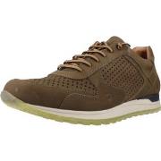 Sneakers Kangaroos K846