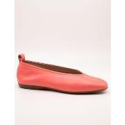 Ballerina's Wonders -