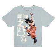 T-shirt Korte Mouw Name it NKMFRITZ