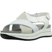 Sandalen IgI&amp;CO 7675533IG