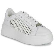 Lage Sneakers Dorking SWIFT