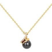 Ketting Phebus Collier Femme