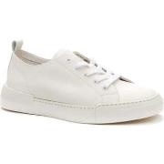 Lage Sneakers Keddo -