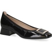 Ballerina's Caprice -