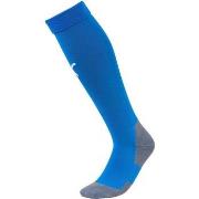 Sportsokken Puma Team Liga Socks Core