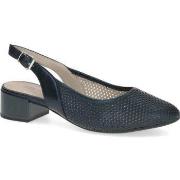 Ballerina's Caprice -