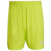 Korte Broek adidas Entrada 22