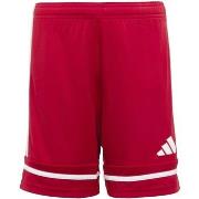 Korte Broek adidas Squa25 Sho Y