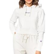 Sweater Champion -