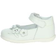 Ballerina's Balducci CITA6920