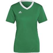 Zwembroek adidas Entrada 22