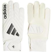 Handschoenen adidas -