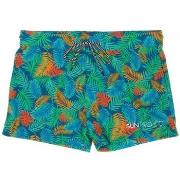 Zwembroek Sun Project -