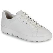 Lage Sneakers Geox U SPHERICA ECUB-1 C