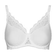 Minimizer bh Triumph Amourette W01