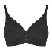 Minimizer bh Triumph Amourette W01