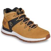 Hoge Sneakers Timberland SPRINT TREKKER