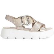 Sandalen Gabor 64.752