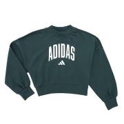 Sweater adidas Seasonals Essentials Collegiate Typography Crewneck Swe...