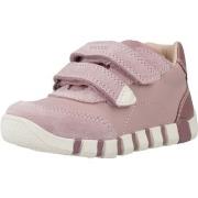 Sneakers Geox B IUPIDOO GIRL