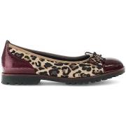 Ballerina's Gabor 74.100