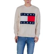 Trui Tommy Hilfiger TJM REG MELANGE FLAG DM0DM22105