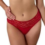 Shorts Les Petites Bombes -