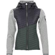 Blazer Peak Mountain Blouson polaire AMIR