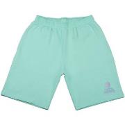 Korte Broek Superb 1982 RSC-S2108-GREEN