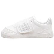 Lage Sneakers MTNG 48940