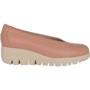 Ballerina's Wonders Fly