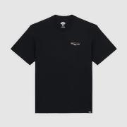 T-shirt Korte Mouw Dickies 168403