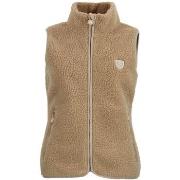 Fleece Jack Peak Mountain Gilet polaire ABEILLE