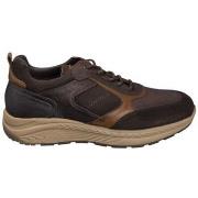 Lage Sneakers Fluchos BASKETS F2289