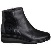 Laarzen Pitillos BOTTINES 10736