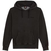 Sweater Dickies Plentywood Hoodie