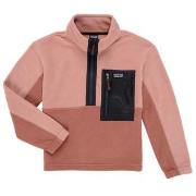 Fleece Jack Patagonia K'S MICRODINI 1/2 ZIP P/O