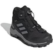 Wandelschoenen adidas Terrex Mid Gtx