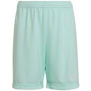 Korte Broek adidas Entrada 22