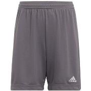 Korte Broek adidas Entrada 22