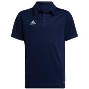 T-shirt Korte Mouw adidas Entrada 22