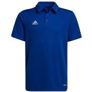 T-shirt Korte Mouw adidas Entrada 22