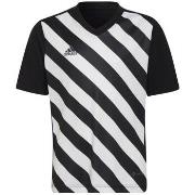 T-shirt Korte Mouw adidas Entrada 22 Graphic Jersey