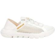 Lage Sneakers Caterpillar P726254