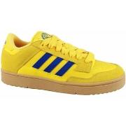 Lage Sneakers adidas Rapid Court Low