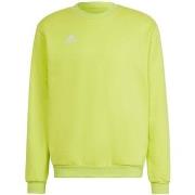 Sweater adidas Entrada 22