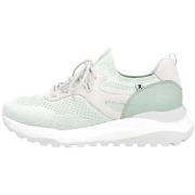 Lage Sneakers Rieker W250352