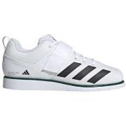 Lage Sneakers adidas Powerlift 5