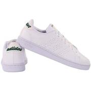 Lage Sneakers adidas Advantage